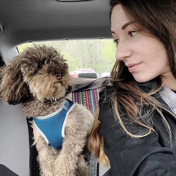 Meet your Posher, Shaylie - Picture 10 of 12